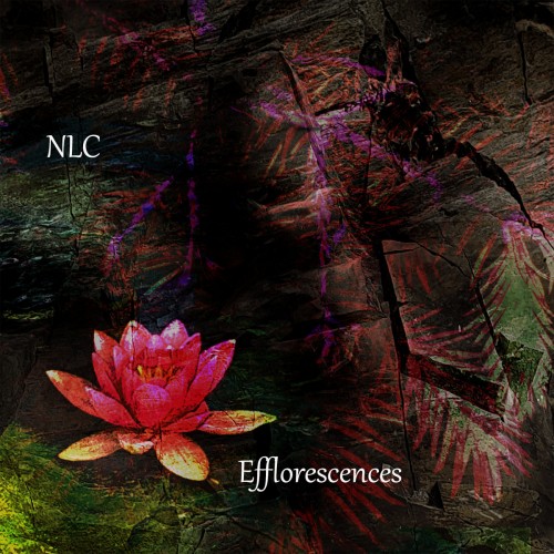efflorescences