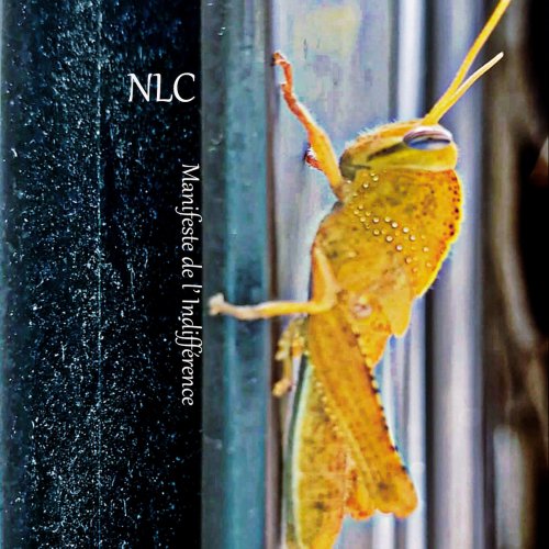 manifeste de l'indifférence